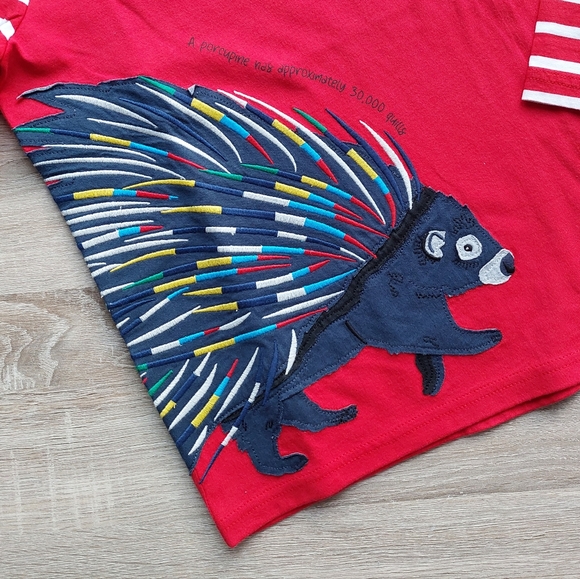 2021 nwt Mini Boden porcupine tee 11-12 years - Picture 11 of 14